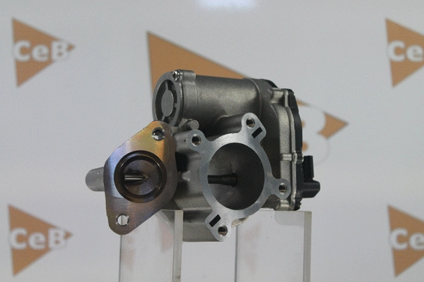 EGR Valve (GR6107)