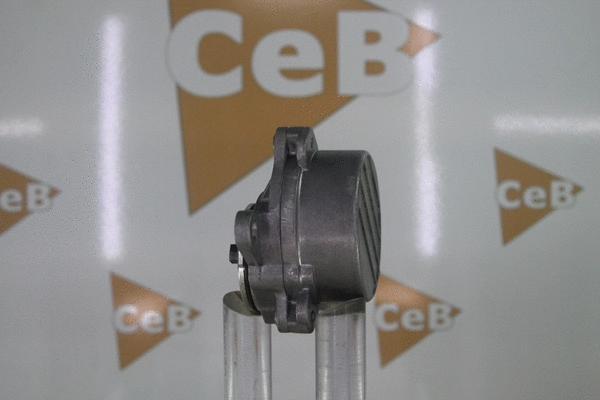 Vacuum Pump, braking system