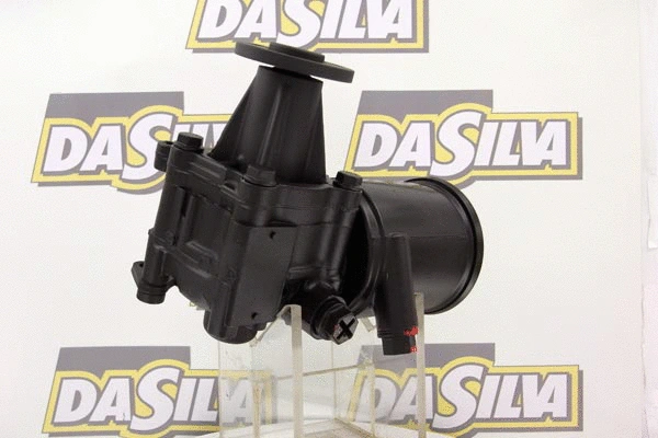 Hydraulic Pump, steering (DP2661)