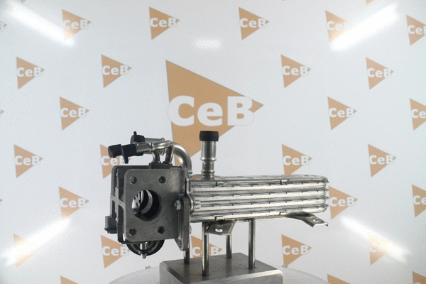 EGR Valve (GR6193)