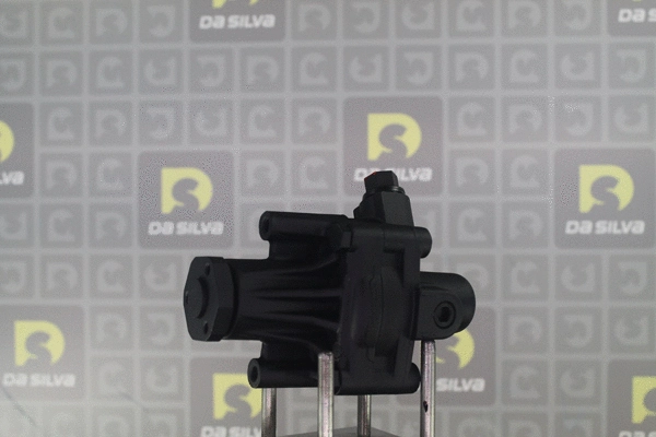 Hydraulic Pump, steering (DP2561)