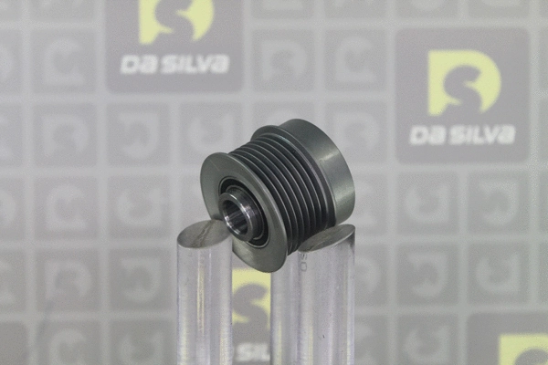 Alternator Freewheel Clutch