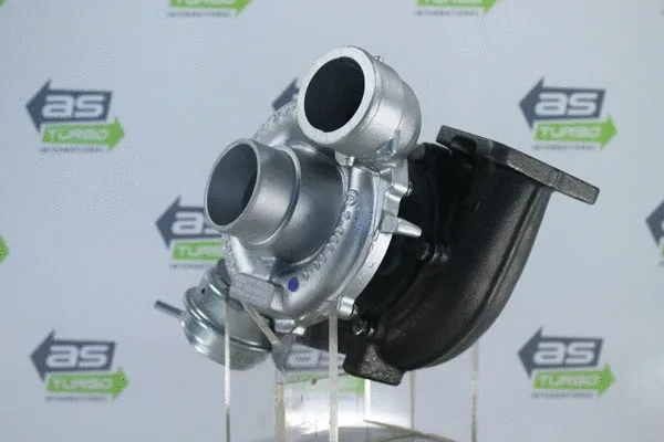 Charger, charging (supercharged/turbocharged) (AS1218)