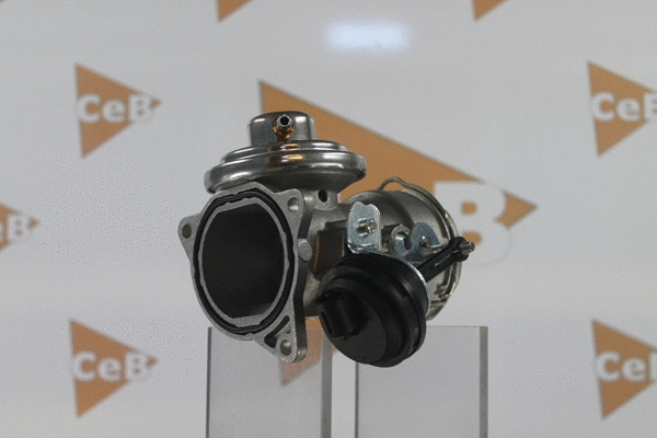 EGR Valve (GR6046)