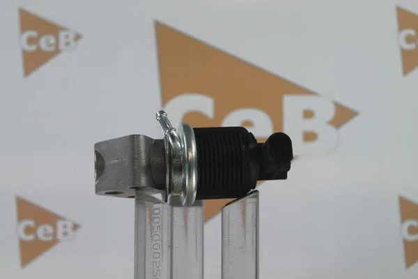 EGR Valve