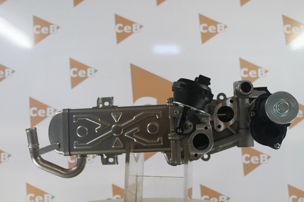 EGR Valve