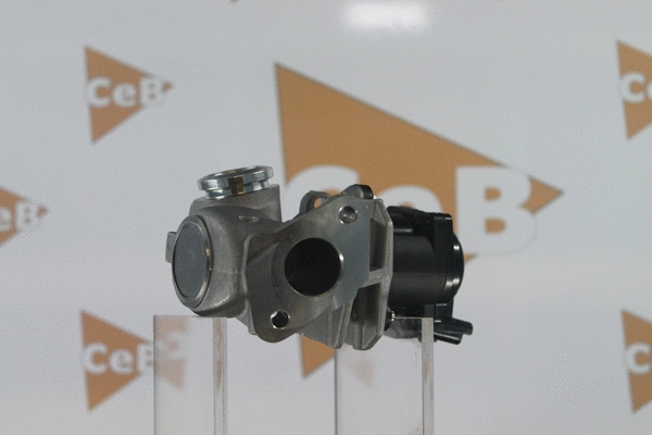 EGR Valve (GR6033)