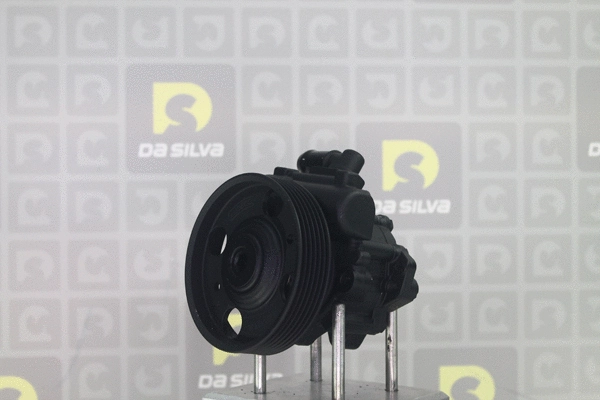 Hydraulic Pump, steering (DP2092)