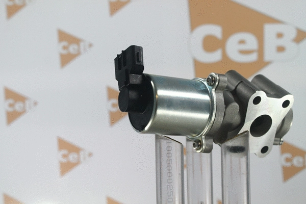 EGR Valve (GR6171)