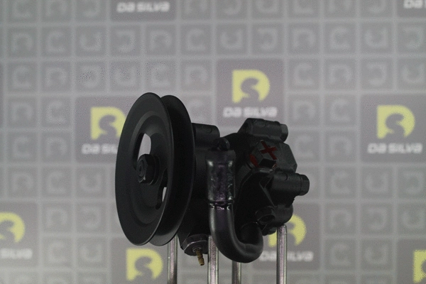 Hydraulic Pump, steering (DP2933)