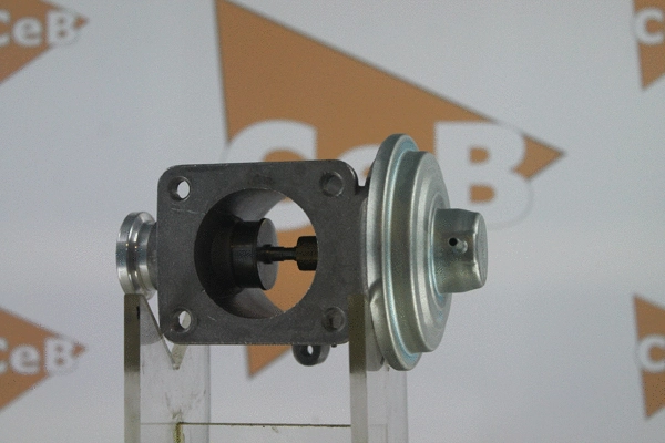 EGR Valve