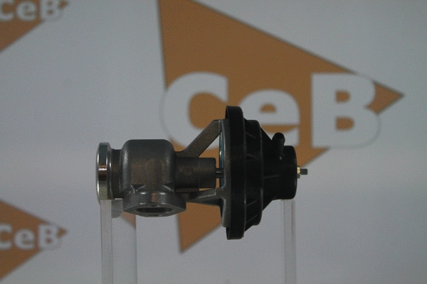 EGR Valve