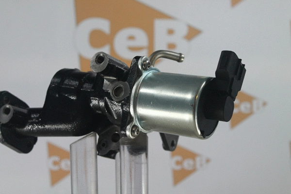 EGR Valve