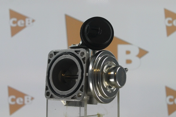 EGR Valve (GR6092)