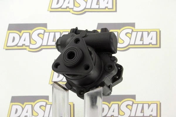 Hydraulic Pump, steering (DP2030)