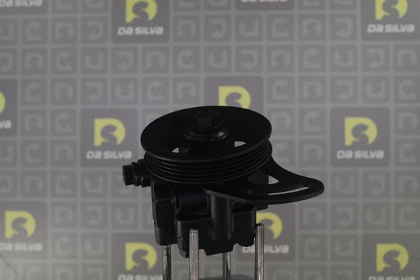 Hydraulic Pump, steering (DP3618)