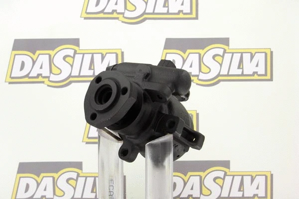 Hydraulic Pump, steering (DP2081)