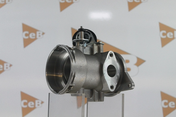 EGR Valve (GR6047)