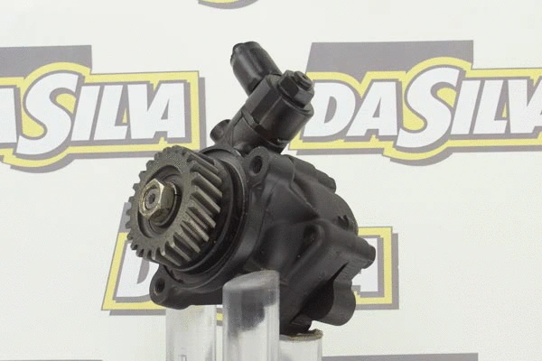 Hydraulic Pump, steering (DP2495)