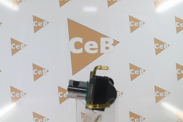 EGR Valve