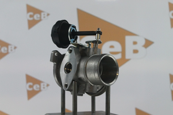 EGR Valve (GR6043)