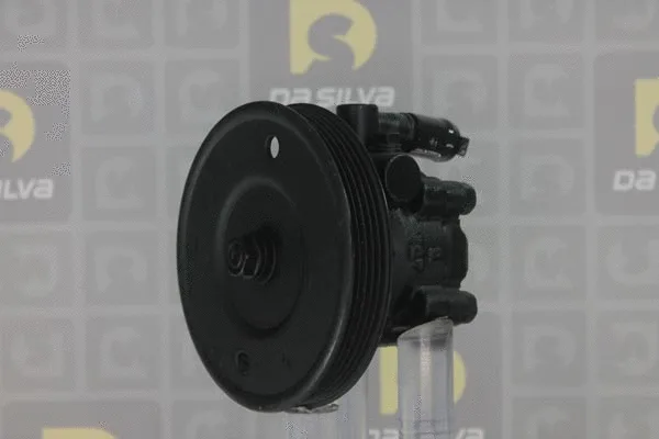 Hydraulic Pump, steering (DP2135)