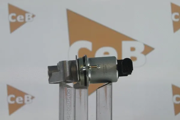 EGR Valve
