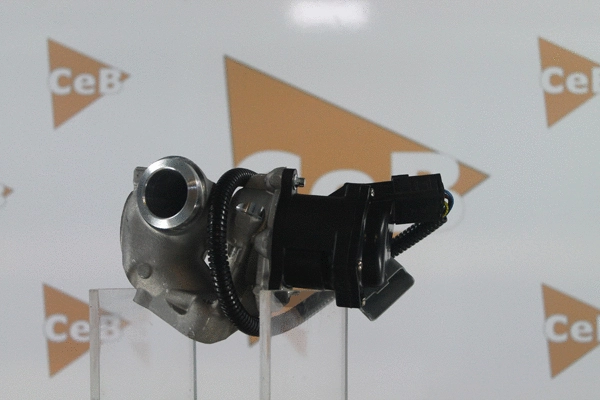 EGR Valve
