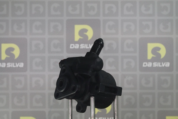 Hydraulic Pump, steering (DP2316)