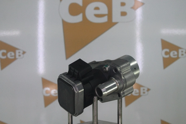 EGR Valve