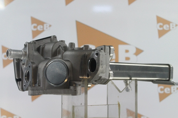 EGR Valve