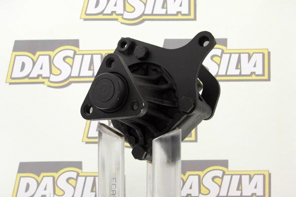 Hydraulic Pump, steering (DP2156)