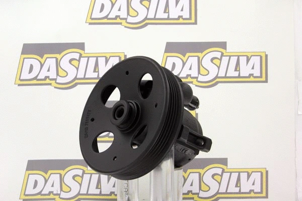 Hydraulic Pump, steering (DP2174)