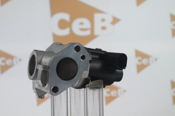 EGR Valve (GR6133)