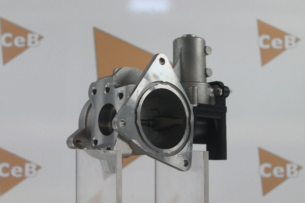 EGR Valve (GR6094)