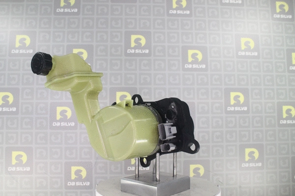 Hydraulic Pump, steering (DP5021)