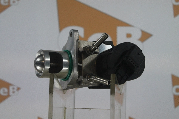 EGR Valve (GR6156)