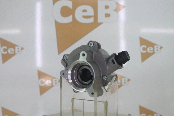 Vacuum Pump, braking system