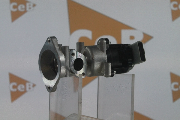 EGR Valve (GR6087)