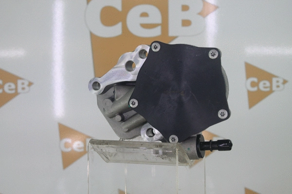 Vacuum Pump, braking system