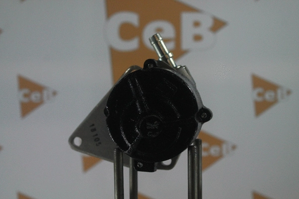 Vacuum Pump, braking system