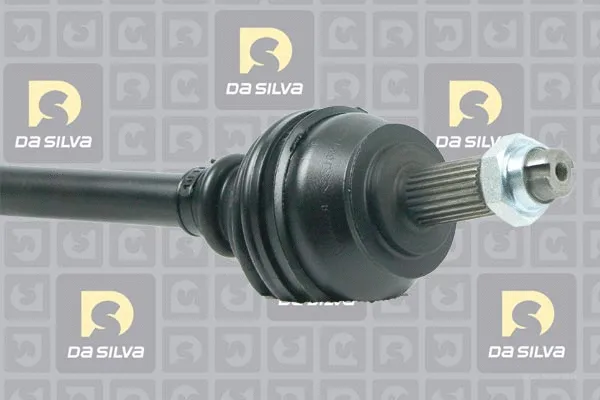 Drive Shaft