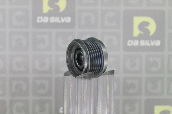 Alternator Freewheel Clutch