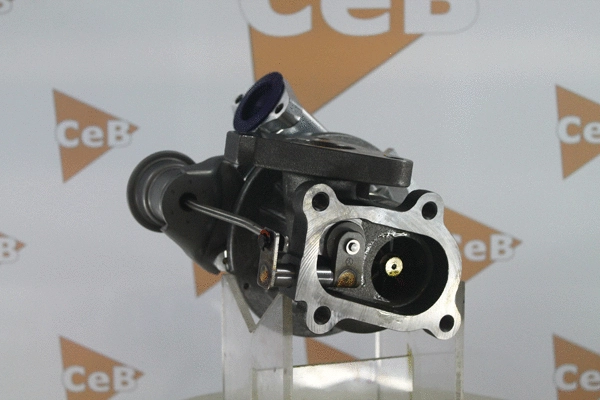 Charger, charging (supercharged/turbocharged)