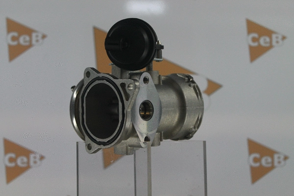 EGR Valve (GR6042)