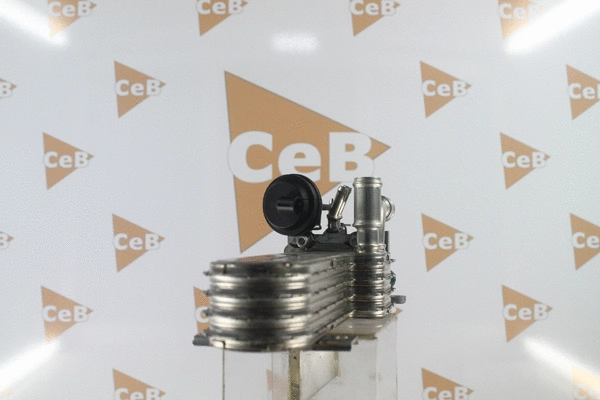 Cooler, exhaust gas recirculation