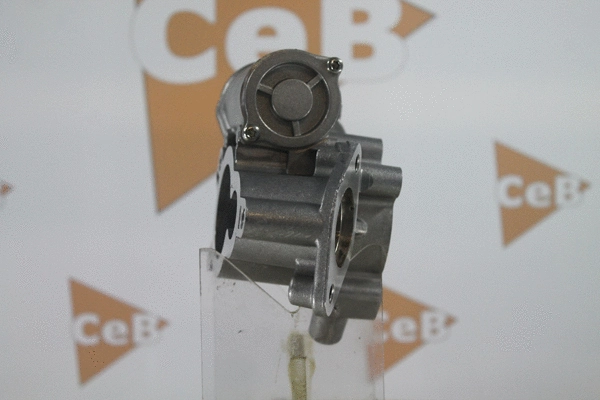 EGR Valve