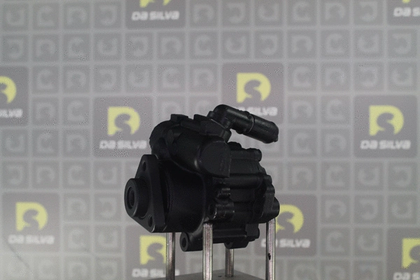 Hydraulic Pump, steering (DP3081)