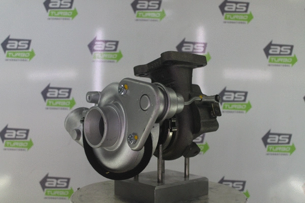 Charger, charging (supercharged/turbocharged) (AS4335)