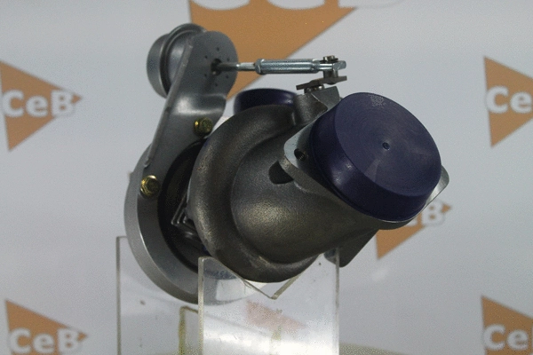 Charger, charging (supercharged/turbocharged)